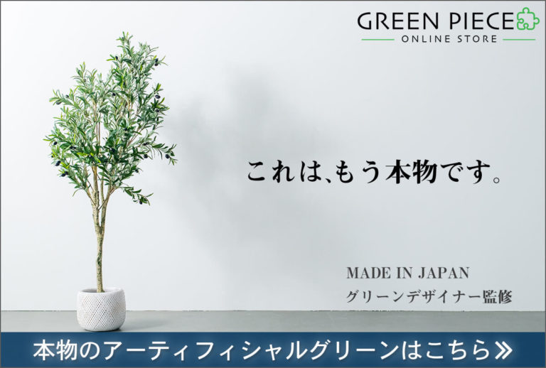タブノキ(椨の木)の育て方と果実など植物の特徴をわかりやすく解説