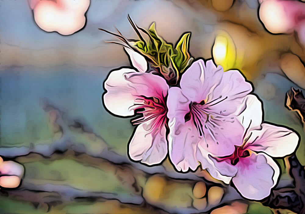 アーモンドの木の剪定や収穫まで 育て方と植物の特徴をわかりやすく解説