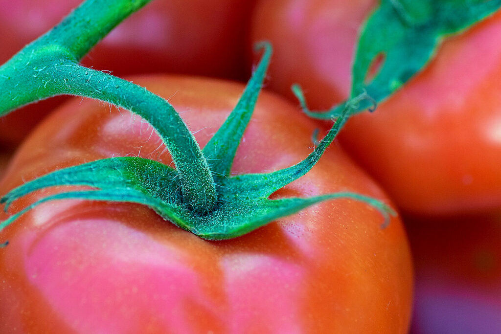 トマトの拡大