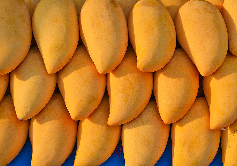 黄色いマンゴーの果実