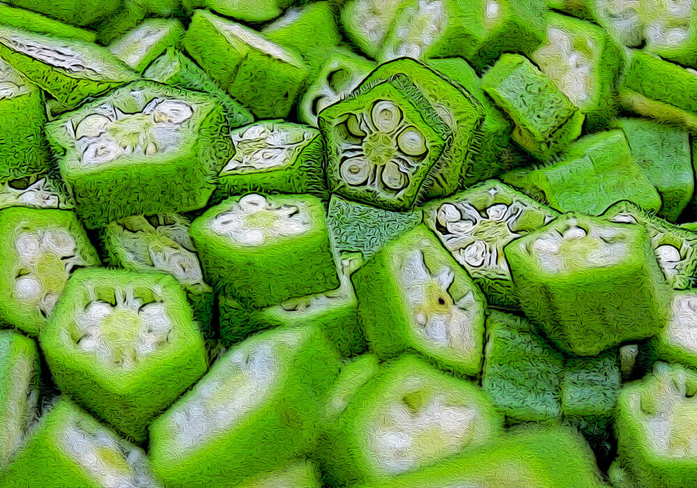 オクラの植物図鑑と育て方
