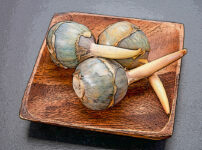 クワイの植物図鑑と育て方