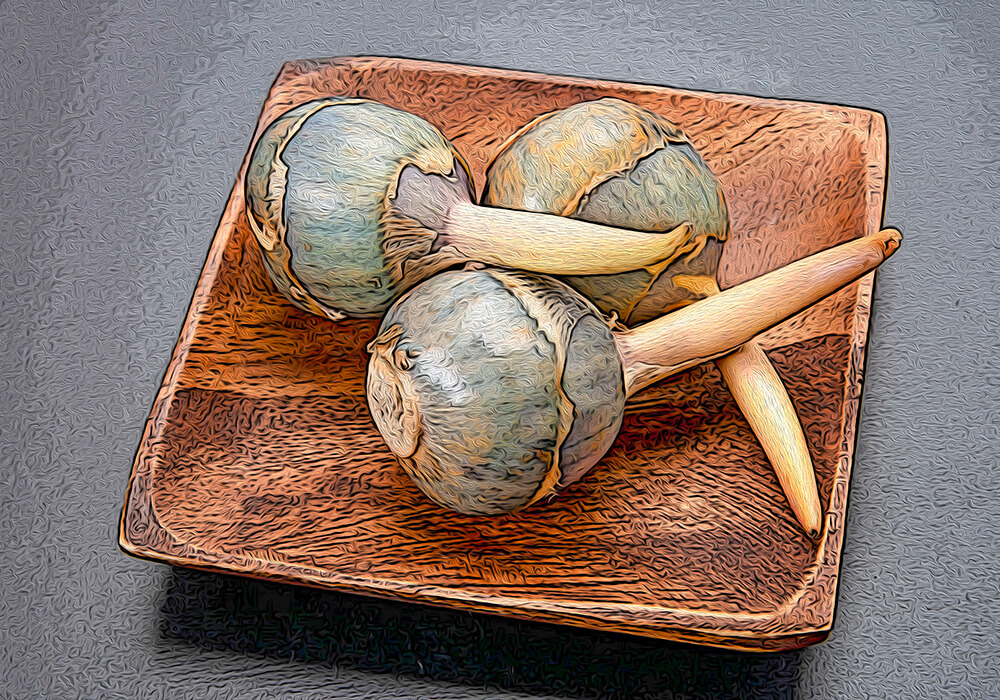 クワイの植物図鑑と育て方