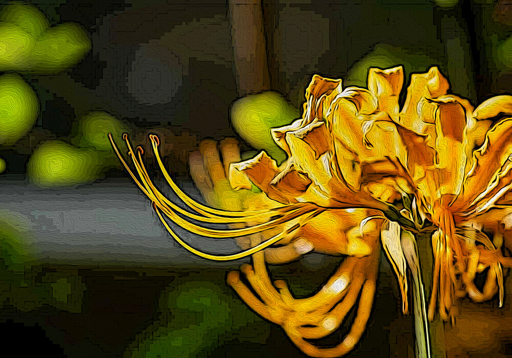 ショウキズイセンの植物図鑑と育て方