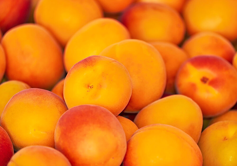 アンズの収穫した果実